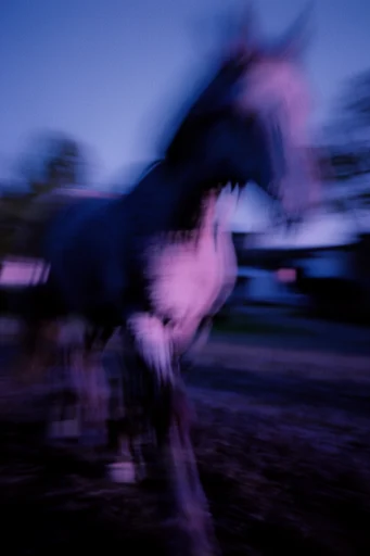 Spectral Nocturnal Blur style reference image — nocturnal deep indigo palette