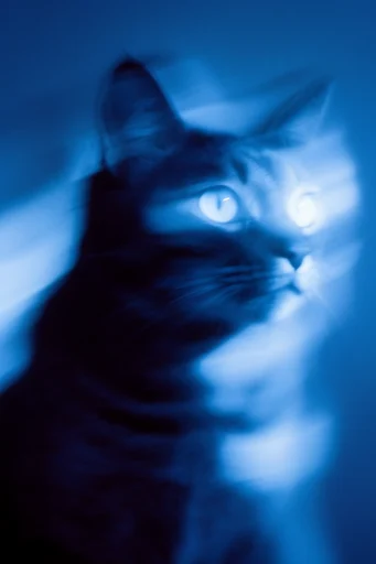 Spectral Cobalt Motion style reference image — low-key chiaroscuro lighting