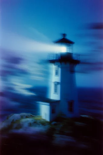 Cinematic Nocturnal Blur style reference image — intentional camera movement