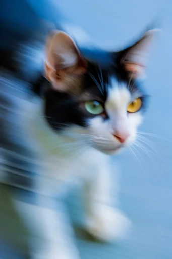 Dynamic Kinetic Velocity style reference image — abstract movement