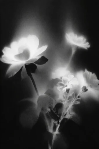 Gritty Spectral Noir style reference image — gritty xerox aesthetic