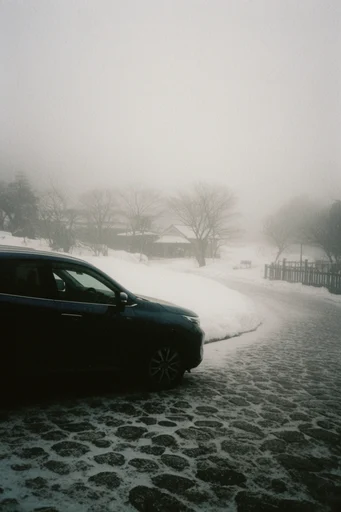 Ethereal Minimalist Melancholy style reference image — heavy film grain