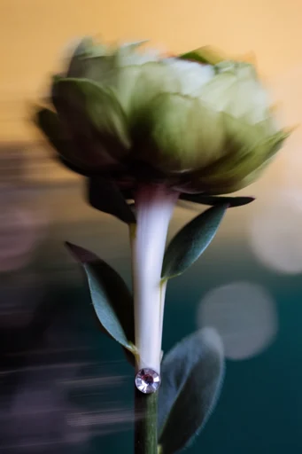 Kinetic Motion Velocity style reference image — vibrant color contrast