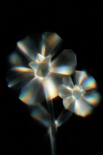 Spectral Glass Minimalism style reference image — caustic lighting