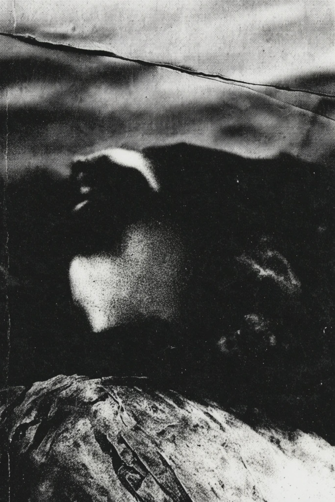 Raw Monochromatic Distorted Noir style AI image example 2