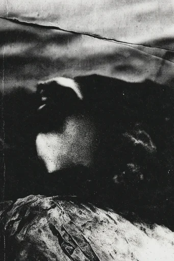 Raw Monochromatic Distorted Noir style reference image — gritty halftone texture