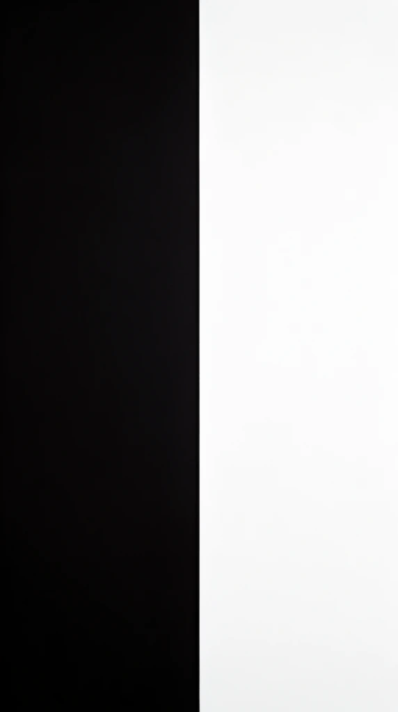 A perfectly bisected canvas split exactly down the vertical center line, creating two equal and opposing geometric color fields. The left half consists of a solid, deep, untextured black area extending from the top to the bottom edge. Directly abutting it is a pure white vertical half on the right, forming a severe, high-contrast visual dichotomy. The boundary between the two zones is a razor-sharp vertical line with no bleeding, gradients, or dimensional shading. The stark, minimalist composition relies entirely on the extreme polarity and precise balance of the flat monochrome surfaces.