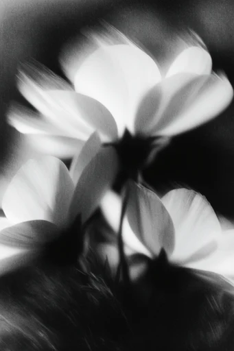 Spectral Kinetic Monochrome style reference image — long exposure photography