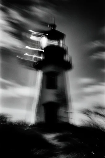 Spectral Monochrome Noir style reference image — silver gelatin aesthetic