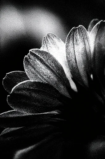 Gritty Chiaroscuro Noir style reference image — graphic silhouette