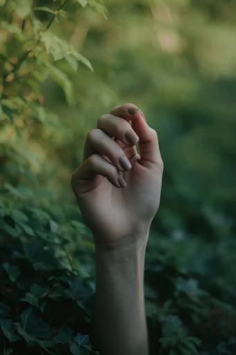 Cinematic Overgrown Wilderness style reference image — dappled sunlight