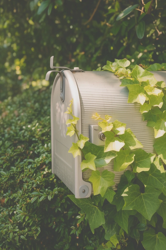A silver metallic tunnel-shaped mailbox is partially engulfed by vibrant green climbing ivy and dense leafy shrubs. The aluminum surface features horizontal ridges and a small metal top latch, with sunlit broad leaves creeping up the right side and front edge to cast soft shadows. The background is a dense, out-of-focus thicket of deep green foliage rendered with a shallow depth of field and soft bokeh. The lighting is warm natural daylight filtering through an overhead canopy, lending the scene a nostalgic, faded analog photography aesthetic with muted contrast and rich organic textures.