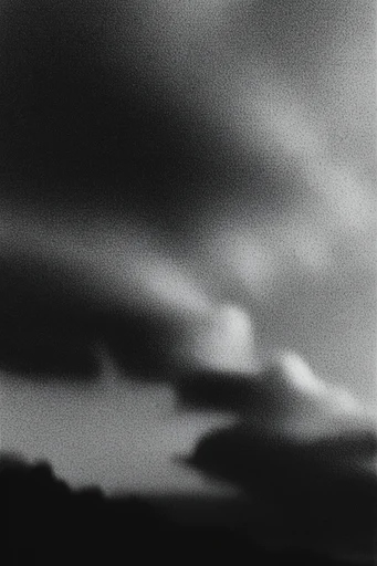 Raw Noir Atmospheric style reference image — heavy analog film grain