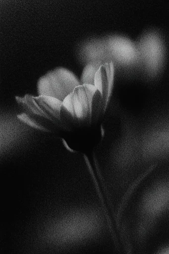 Spectral Noir Distortion style reference image — gritty texture