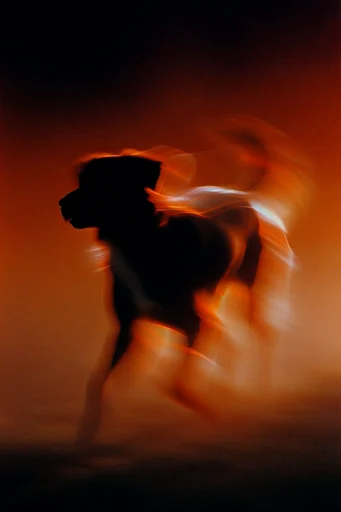 Kinetic Crimson Silhouette style reference image — abstract kinetic form