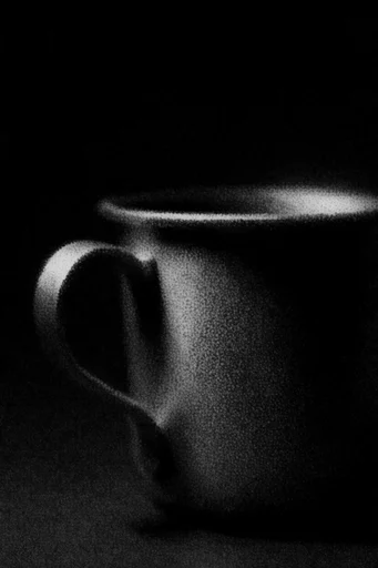 Stippled Noir Grain style reference image — intense film grain