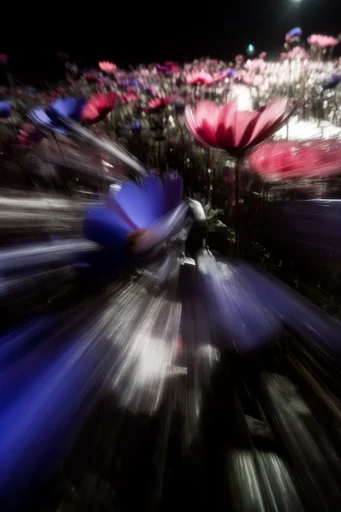 Kinetic Noir Nocturne style reference image — motion blur