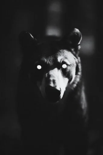 Spectral Gothic Noir style reference image — liminal space