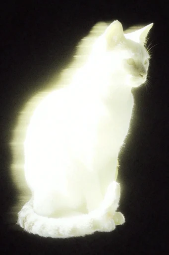Spectral Monochrome Halation style reference image — spectral halation