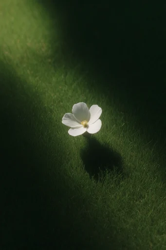 Cinematic Emerald Chiaroscuro style reference image — spotlight effect