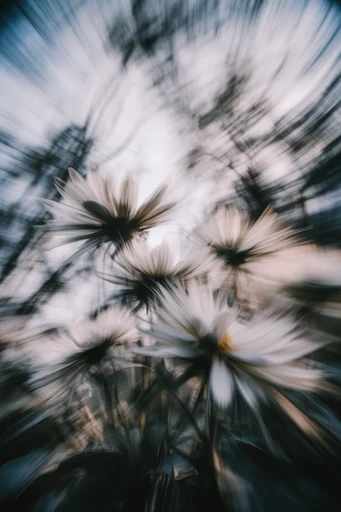 Monochrome Kinetic Vertigo style reference image — disorienting perspective