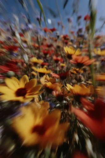 Dynamic Velocity Blur style reference image — high-speed action