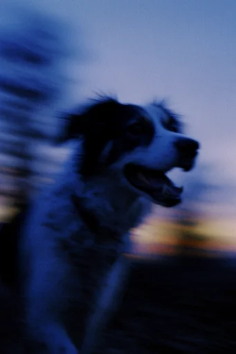 Ethereal Twilight Motion style reference image — blue hour gradient