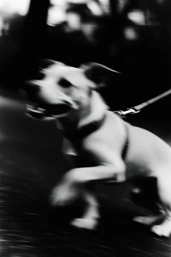 Spectral Kinetic Noir style reference image — surrealist noir