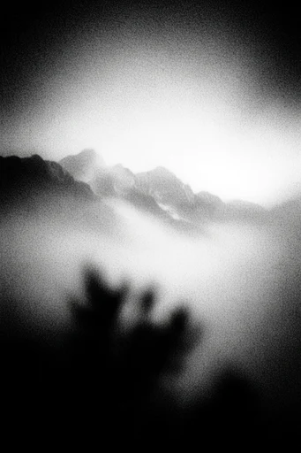 Ethereal Noir Abstraction style reference image — high-contrast monochrome