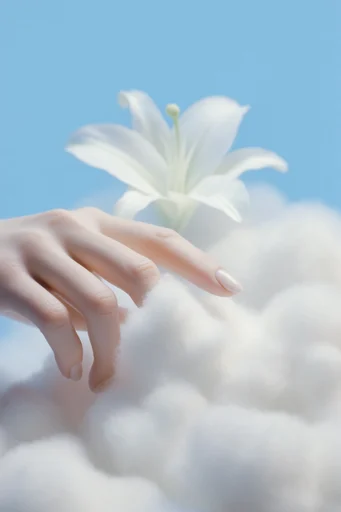 Ethereal Cloud Minimalism style reference image — soft diffuse lighting