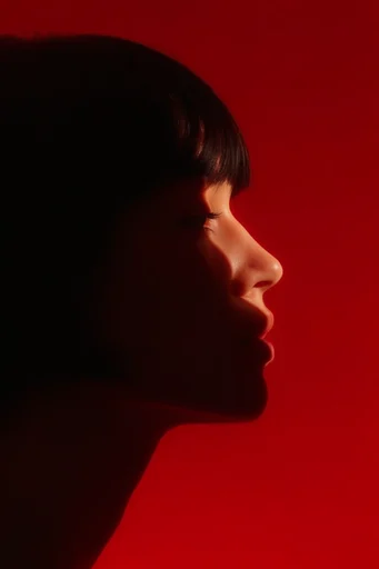 Crimson Chiaroscuro Noir moodboard — generate AI images in this style