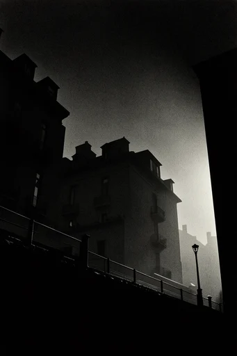 Gritty Cinematic Monochrome style reference image — heavy film grain