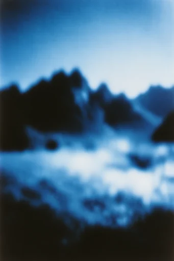 Ethereal Nocturnal Cyanotype style reference image — cyanotype blue