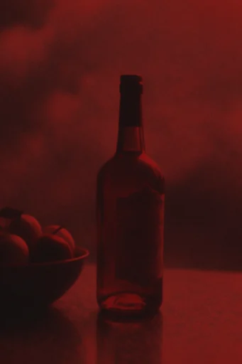 Nocturnal Crimson Infrared style reference image — monochromatic crimson palette