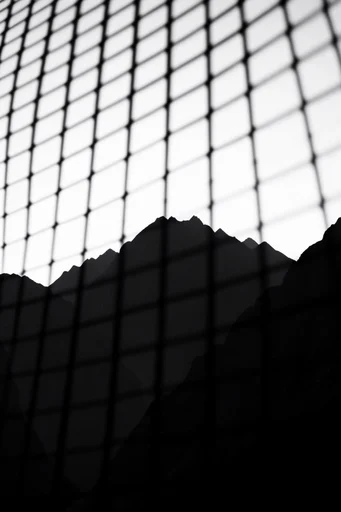 Monochrome Graphic Grids style reference image — high-contrast black and white