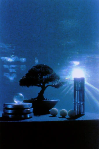 Cinematic Nocturnal Grain style reference image — anamorphic lens flare