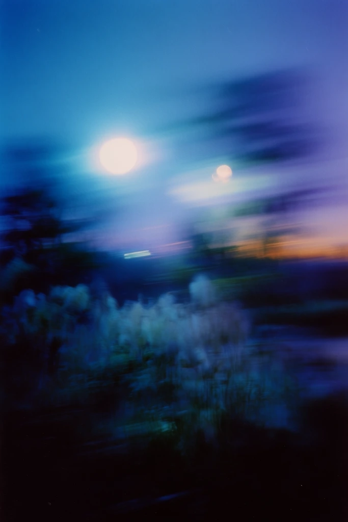 Cinematic Nocturnal Blur style AI image example 2