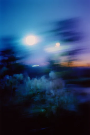 Cinematic Nocturnal Blur style reference image — long exposure light trails