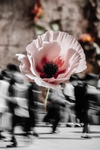 Cinematic Urban Kineticism style reference image — muted desaturated tones