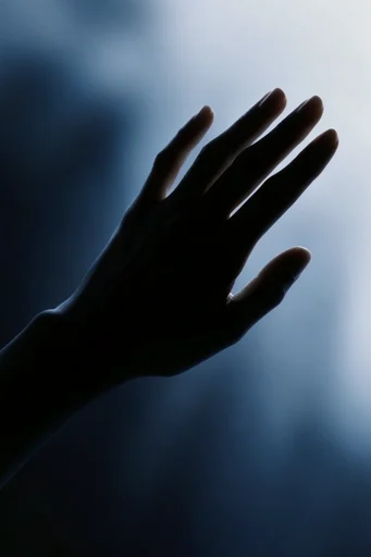 Atmospheric Minimalist Noir style reference image — cool blue color palette