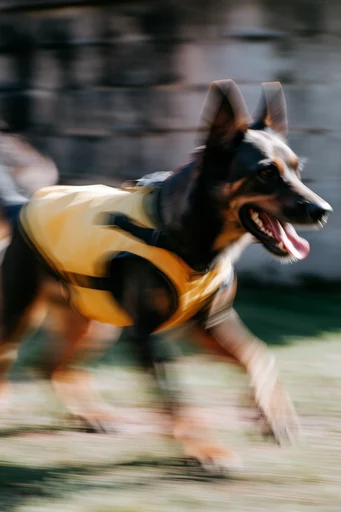 Dynamic Kinetic Velocity style reference image — high contrast action