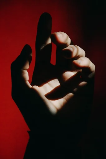 Crimson Chiaroscuro Noir style reference image — high-contrast portraiture