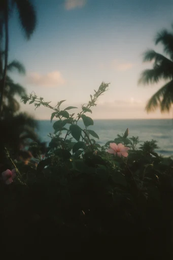 Atmospheric Analog Melancholy style reference image — analog photography aesthetic