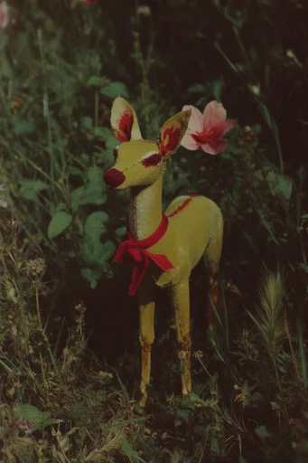 Nostalgic Botanical Surrealism style reference image — analog photography style