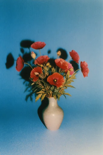 Nostalgic Surrealist Pop style reference image — whimsical juxtaposition