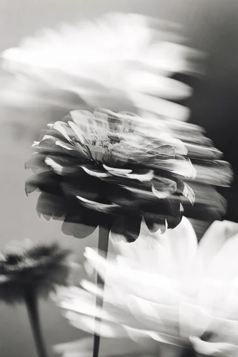 Kinetic Monochrome Noir style reference image — long exposure streaks