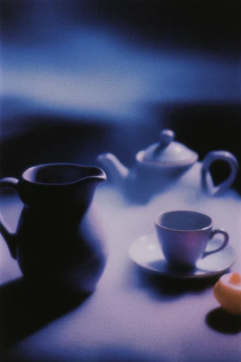 Nocturnal Lo-Fi Pictorialism style reference image — heavy film grain