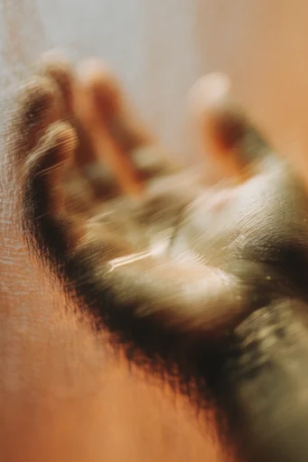 Tactile Organic Impressionism style reference image — macro nature photography