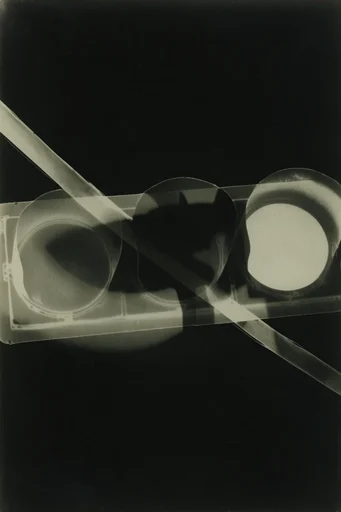 Experimental Monochrome Luminism style reference image — high-contrast monochrome