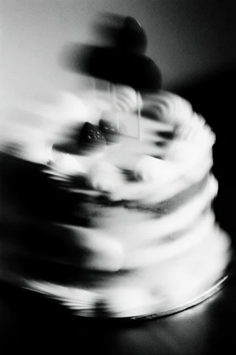 Kinetic Spectral Monochrome style reference image — raw analog aesthetic